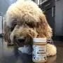 BUDDY BUDDER Bark Bistro Company, Ruff Ruff Raw + Pumpkin Pup, Dog Peanut Butter, Healthy Dog Treat, 100% Natural Dog Peanut Butter - Made in USA (Set of 2/ 16oz Jars) BUDDY BUDDER Bark Bistro Company, Ruff Ruff Raw + Pumpkin Pup, Dog Peanut Butter, Healthy Dog Treat, 100% Natural Dog Peanut Butter - Made in USA (Set of 2/ 16oz Jars)