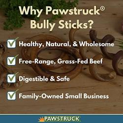 Pawstruck Bully Stick Springs for Dogs - Natural Bulk Dog Dental Treats & Healthy Chew, Best Thick Low-Odor Pizzle Stix Spirals, Free Range & Grass Fed Beef