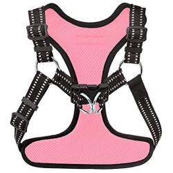 Voyager Step-In Flex Dog Harness - All Weather Mesh, Step In Adjustable Harness for Small and Medium Dogs by Best Pet Supplies