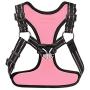 Voyager Step-In Flex Dog Harness - All Weather Mesh, Step In Adjustable Harness for Small and Medium Dogs by Best Pet Supplies