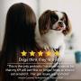 Nutri-Vet Pre and Probiotic Soft Chews for Dogs | Digestive Health Support Dog Probiotics | Tasty Alternative to Dog Probiotic Powder | 120 Soft Chews