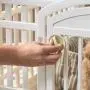 IRIS USA 24” Exercise Playpen Panels for Dog IRIS USA 24” Exercise Playpen Panels for Dog