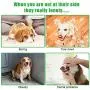 N & A Dog Chew Toys Dog Toothbrush Toys Teeth Cleaning Toy Puppy Brushing Stick Dental Oral Care for Small-Medium 15-70LBS Dogs