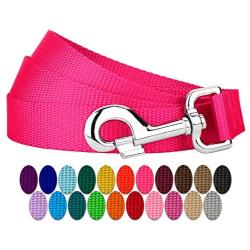 Country Brook Design - Vibrant 25 Color Selection - 1 Inch Nylon Dog Leash