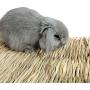 Grass Mat Woven Bed Mat for Small Animal Bunny Bedding Nest Chew Toy Bed Play Toy for Guinea Pig Parrot Rabbit Bunny Hamster Rat(Pack of 3) (3 Grass mats)