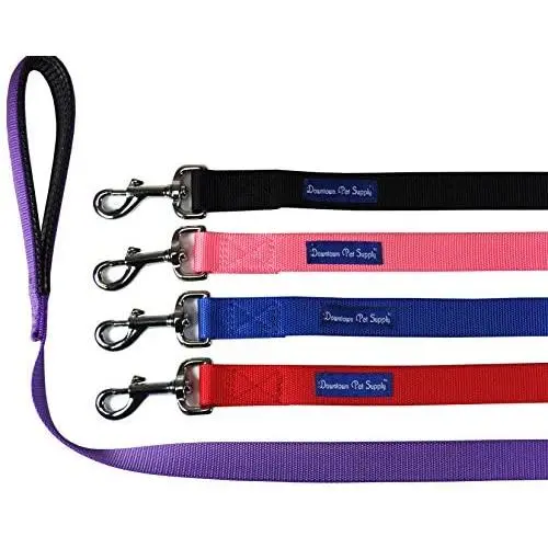 Downtown Pet Supply Strong Durable Dog Leash Lead - Best Big Dog Training Leashes, Heavy Duty Long Nylon Leash Downtown Pet Supply Strong Durable Dog Leash Lead - Best Big Dog Training Leashes, Heavy Duty Long Nylon Leash