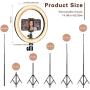 10" Selfie Ring Light with Tripod Stand & Cell Phone Holder for Live Stream/Makeup | Dimmable Mini Floor Table Camera Ringlight for YouTube TikTok Video/Photography