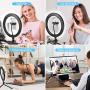 Ring Light,10" Selfie Ring Light with Tripod Stand and Phone Holder, Desktop LED Ring Light with 3 Modes and 10 Brightness for TikTok/YouTube Video/Live Stream/Makeup/Photography