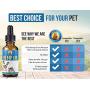 Hemp Oil for Dogs and Cats | The Perfect Hemp for Dogs with Anxiety and Mobility Issues| Updated 2.0 Formula Hemp Mobility for Dogs All Natural Pain Relief for Dogs, Calming, Hip, and Joint (500mg)