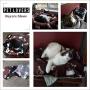 softan Premium Fleece Pet Blanket Washable, Warm and Soft Bed Cover Throw for Dog, Cat, Puppy, Kitten, Small Pets