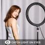 Selfie Ring Light with Tripod Stand with Phone Holder for, Live Stream,Self-Portrait Shooting (Black,1 X Fill Light +1 X Mobile Phone Clip, 11.8in)