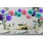 Teal Lavender Purple Pink Party Decorations 16pcs Paper Pom Poms Honeycomb Balls Blue Lanterns Tissue Fans for Wedding Birthday Baby Shower Frozen Party Supplies