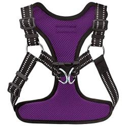 Voyager Step-In Flex Dog Harness - All Weather Mesh, Step In Adjustable Harness for Small and Medium Dogs by Best Pet Supplies