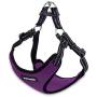 Voyager Step-In Flex Dog Harness - All Weather Mesh, Step In Adjustable Harness for Small and Medium Dogs by Best Pet Supplies