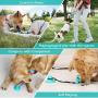 Intsun Suction Cup Dog Toy, Dog Chew Toys for Aggressive Chewers, Suction Pet Tug Toy Interactive Training Teething Toys for Boredom, Treat Dispensing Ball