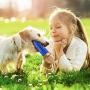 QDAN Dog Toy Chew Toothbrush Squeaky Toys Stick Puppy Chew Toy Interactive for Small Medium Dogs Teeth Cleaning Dental Care Stress Relive Indoors Outdoors(Fit 15-60Lbs Dogs