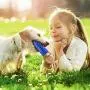 QDAN Dog Toy Chew Toothbrush Squeaky Toys Stick Puppy Chew Toy Interactive for Small Medium Dogs Teeth Cleaning Dental Care Stress Relive Indoors Outdoors(Fit 15-60Lbs Dogs