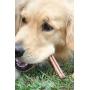 Downtown Pet Supply 6 inch Bully Sticks, Standard Regular Thick Select Dog Dental Chew Treats