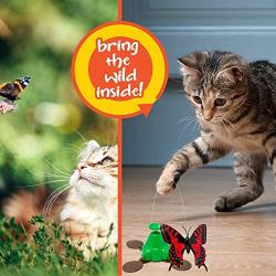 Pet Zone Fly By Spinner Butterfly Cat Toy, Lifelike Flying Movement & Realistic Fluttering Sound (Interactive Cat Toys, Kitten Toy, Cat Toys for Indoor Cats)[Great Alternative to Pop and Play Cat Toy]