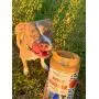 BUDDY BUDDER Bark Bistro Company, Ruff Ruff Raw + Pumpkin Pup, Dog Peanut Butter, Healthy Dog Treat, 100% Natural Dog Peanut Butter - Made in USA (Set of 2/ 16oz Jars) BUDDY BUDDER Bark Bistro Company, Ruff Ruff Raw + Pumpkin Pup, Dog Peanut Butter, Healthy Dog Treat, 100% Natural Dog Peanut Butter - Made in USA (Set of 2/ 16oz Jars)