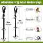 PETNOZ 2 Pack Dog Doorbells Premium Quality Dog Bells for Potty Training Adjustable Door Bells Training Your Puppy to Ring to Go Outside Large Loud Dog Bell with Clicker, Waste Bag, Dog Whistle PETNOZ 2 Pack Dog Doorbells Premium Quality Dog Bells for Potty Training Adjustable Door Bells Training Your Puppy to Ring to Go Outside Large Loud Dog Bell with Clicker, Waste Bag, Dog Whistle