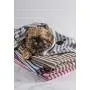 Bone Dry DII Microfiber Dog Bath Towel with Embroidered Paw Print Bone Dry DII Microfiber Dog Bath Towel with Embroidered Paw Print