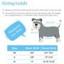 PUPTECK Checkered Frills Soft Mesh Dog Vest Harness Puppy Padded Pet Harnesses for Cat Small Dogs