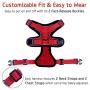 rabbitgoo Cat Harness and Leash for Walking, Escape Proof Soft Adjustable Vest Harnesses for Medium Large Cats, Easy Control Breathable Pet Safety Jacket with Reflective Strips & 1 Metal Leash Ring