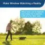 PetSafe Come with Me Kitty Harness and Bungee Leash, Harness for Cats PetSafe Come with Me Kitty Harness and Bungee Leash, Harness for Cats