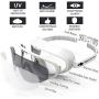 Spinosaurus Swim Goggles, Swimming Goggles-Fashionable Anti UV Wide Frame Swim Goggles with Comfortable Water Proof Seal & Easy Adjustable Anti Fog for Adult Men & Women Youth