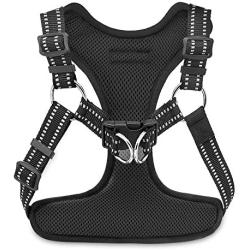 Voyager Step-In Flex Dog Harness - All Weather Mesh, Step In Adjustable Harness for Small and Medium Dogs by Best Pet Supplies