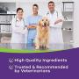 POINTPET Probiotics for Dogs - Natural Probiotic Supplement with Prebiotics, Relief from Diarrhea, Dry and Itchy Skin, Gas, Constipation, Allergies - Digestive and Immune Support, 120 Soft Chews