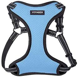 Voyager Step-In Flex Dog Harness - All Weather Mesh, Step In Adjustable Harness for Small and Medium Dogs by Best Pet Supplies