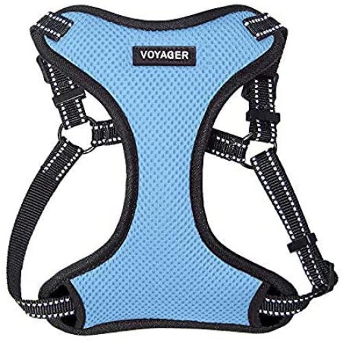 Voyager Step-In Flex Dog Harness - All Weather Mesh, Step In Adjustable Harness for Small and Medium Dogs by Best Pet Supplies