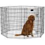 MidWest Homes for Pets Folding Metal Exercise Pen/Pet Playpen