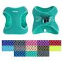 Downtown Pet Supply No Pull, Step in Adjustable Dog Harness, Easy to Put on Small, Medium and Large Dogs