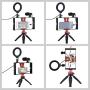 PULUZ 4 in 1 Vlogging Live Broadcast Smartphone Video Rig + 4.6 inch Ring LED Selfie Light Kits with Microphone + Tripod Mount + Cold Shoe Tripod Head for Smart Phone (Red)