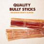 Downtown Pet Supply 6 and 12 inch Junior Thin Bully Sticks for Dogs (Bulk Bags by Weight) - All Natural Dog Dental Chew Treats, High in Protein, Great Alternative to Rawhides