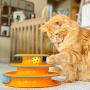 Petstages Cat Tracks Cat Toy - Fun Levels of Interactive Play - Circle Track with Moving Balls Satisfies Kitty’s Hunting, Chasing & Exercising Needs