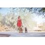Wigzi Two Dog Retractable Non-Tangling Dog Leash with Innovative Gel Handle - Walk 2 Dogs Up to 50 lbs Each - 10 ft Leads
