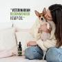 Billion Pets - Hemp Oil for Dogs Cats - Separation Anxiety, Joint Pain, Stress Relief, Arthritis, Seizures, Chronic Pains, Anti-Inflammatory - Omega 3, 6, 9-100% Organic - Calming Drops