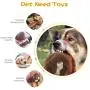 FIREOR Dog Squeaky Toys, No Stuffing Plush Pet Chew Toy for Small Medium Large Puppy, 5 Pack Two Squeaky Cute Animals (Raccoon Squirrel Tiger Fox and Lion)