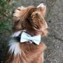 USP Pet Soft &Comfy Bowtie Dog Collar and Cat Collar Pet Gift for Dogs and Cats 6 Size and 7 Patterns