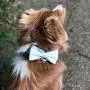 USP Pet Soft &Comfy Bowtie Dog Collar and Cat Collar Pet Gift for Dogs and Cats 6 Size and 7 Patterns