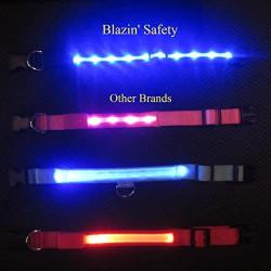 Blazin Safety LED Dog Collar – USB Rechargeable with Water Resistant Flashing Light