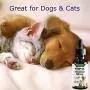 Downtown Pet Supply 500 or 1000 MG of Hemp Oil for Dogs and Cats - Hemp Oil for Stress, Anxiety, Calming Support & Relief - Natural Omega 3 and Supports Hip & Joint Health