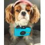 Zink Polaroid Snap Touch Portable Instant Print Digital Camera with LCD Touchscreen Display (Blue)
