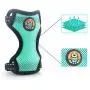 AWOOF Kitten Harness and Leash Escape Proof, Adjustable Cat Kitten Puppy Walking Jacket with Metal Leash Ring, Soft Breathable Small Pet Vest AWOOF Kitten Harness and Leash Escape Proof, Adjustable Cat Kitten Puppy Walking Jacket with Metal Leash Ring, Soft Breathable Small Pet Vest