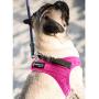 metric usa / Comfort Fit Pets Lightweight Soft Padded No Pull Small Dog Harness Vest ● Easy to Put on & Take Off ● Interior & Exterior Padded Puppy Harness ● Ensures Your Dog is Cool & Comfortable