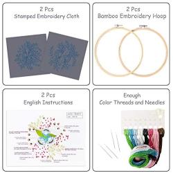 2 Pack Embroidery Starter Kit with Pattern, Stamped Embroidery Kit Including Embroidery Cloth with Pattern, Bamboo Embroidery Hoop, Color Threads Needle Kit